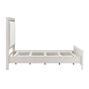 1355-1*4 4pc Set (QB+NS+DR+MR) - 1355-1*4