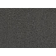 8228GY-1 Chair with Pull-out Ottoman - 8228GY-1