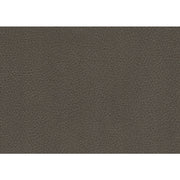 8228TP-1 Chair with Pull-out Ottoman - 8228TP-1