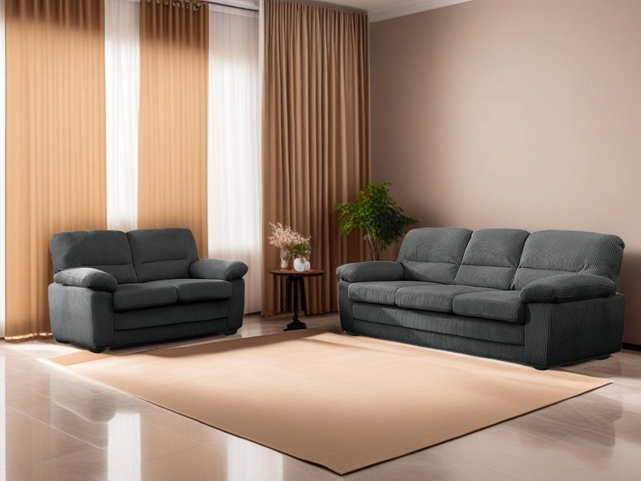Paranto Gray Living Room Set ( Sofa & Loveseat)
