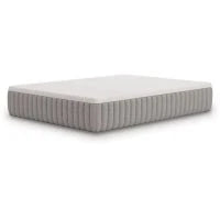 Terra Sleep Firm White Queen Mattress