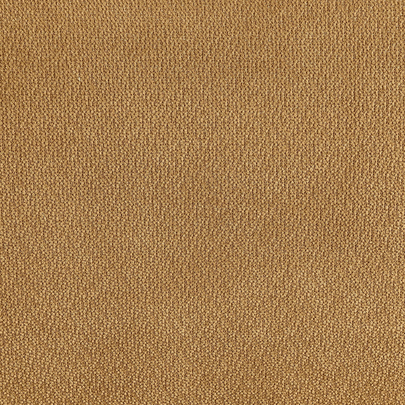 Aleisha Fabric Upholstered Sofa Mustard Yellow - 503061
