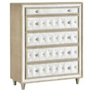 Antonella 5-piece California King Bedroom Set Ivory  - 223521KW-S5