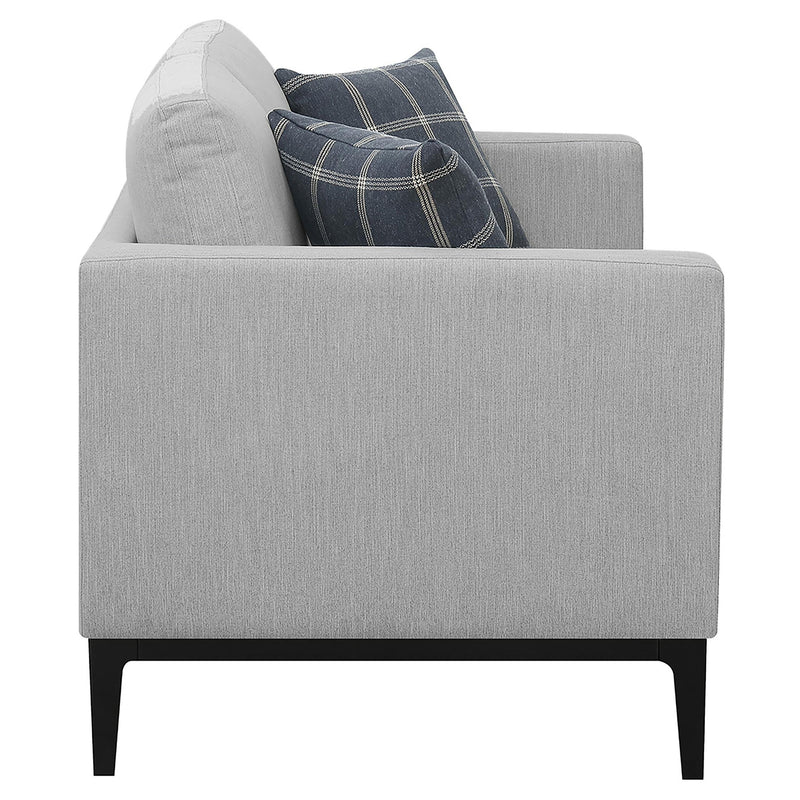 Apperson 2-piece Upholstered Track Arm Sofa Set Light Grey - 508681-S2