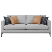 Apperson 2-piece Upholstered Track Arm Sofa Set Light Grey - 508681-S2