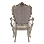 Ariadne Arm Chair (Set-2) - DN02283