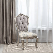 Ariadne Side Chair (Set-2) - DN02282