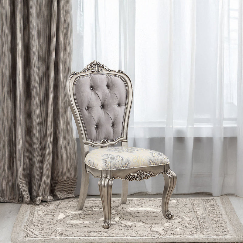 Ariadne Side Chair (Set-2) - DN02282