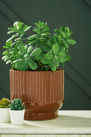 Avalyah Burnt Umber Vase - A2900021V
