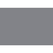 B2024GYCP-1 Twin Canopy Platform Bed - B2024GYCP-1