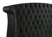 Barzini Upholstered Eastern King Wingback Bed Black - 300643KE