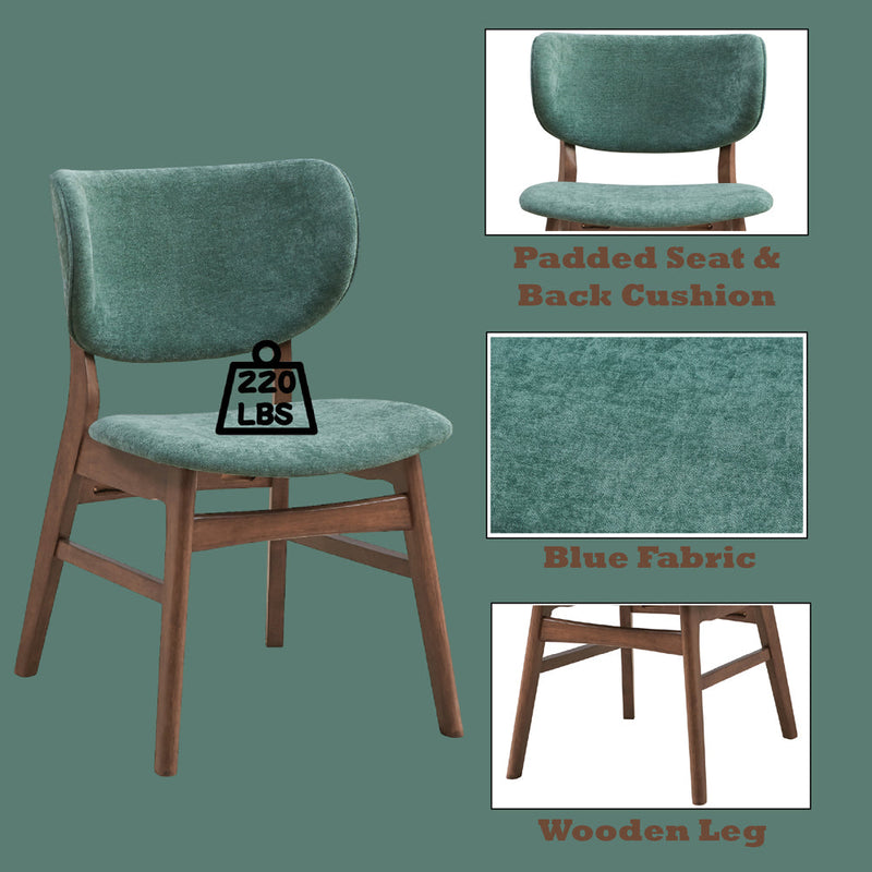 Bevis Side Chair (Set-2) - DN02314