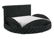 Brigitte Black Queen Upholstered Storage Panel Bed - Lara FurnitureQueen Bed