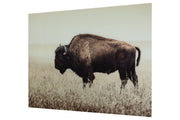 Brutus Sepia Wall Art - Gate FurnitureWall Art