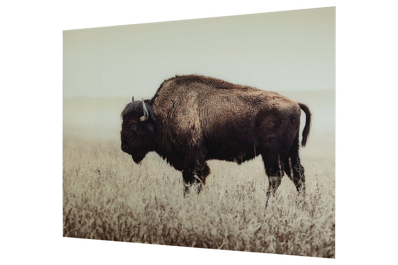 Brutus Sepia Wall Art - Lara FurnitureWall Art