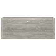 Burke 2-drawer Engineered Wood 59-inch TV Stand Grey Driftwood - 701024