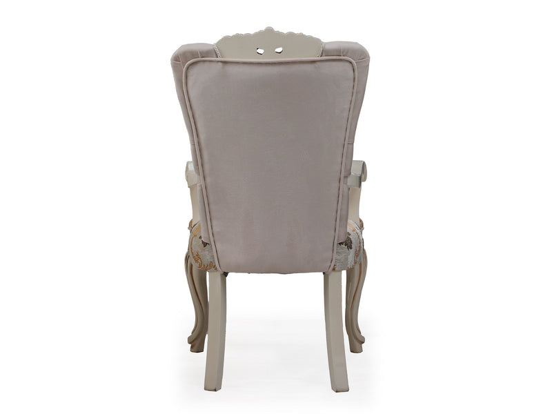 Buse 19" Wide Dining Armchair - Dining Chairs