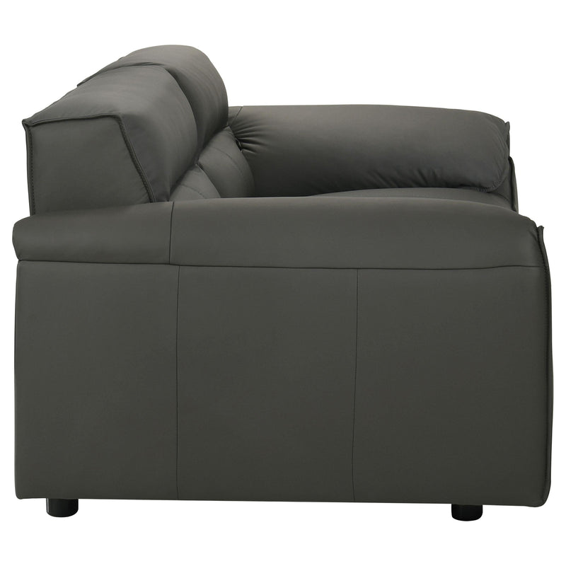 Buxton 2-piece Leather Upholstered Sofa Set Graphite - 509504-S2