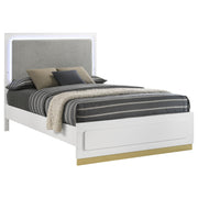 Caraway Wood Eastern King LED Panel Bed White - 224771KE