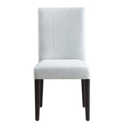 Carena Side Chair (Set-2) - DN02956