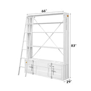 Cargo Bookcase W/Ladder - 39882