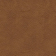 Carianna Loveseat - Lara FurnitureLoveseat