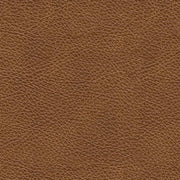 Carianna Sofa - Lara FurnitureSofa