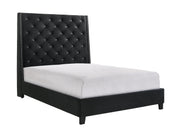 Chantilly Black Velvet King Upholstered Bed - Lara FurnitureKing Bed