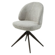 Corwin Side Chair W/Swivel (Set-2) - DN05466