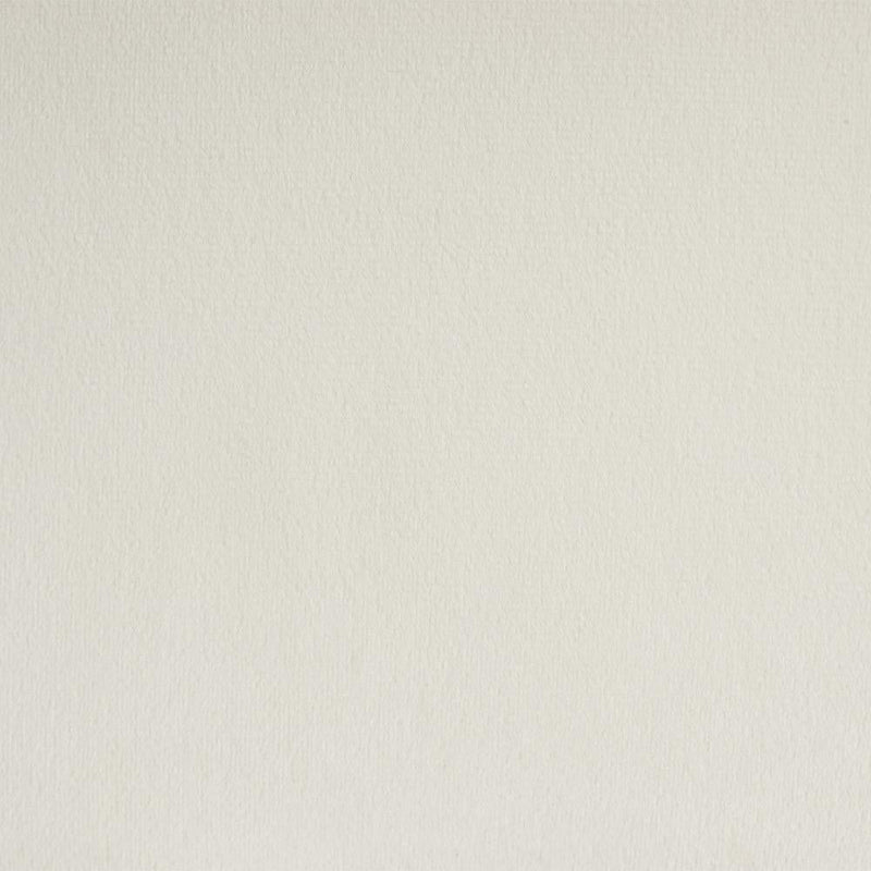 [D219-C] Eva - Chair (Cream), SOLID RUBER WOOD / VELVET, Cream Box: 1 of 1 Box of 2 - D219-C