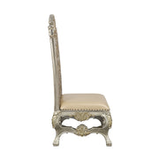 Danae Side Chair (Set-2) - DN01198