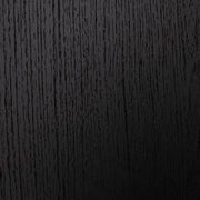 Danziar Black Full Panel Bed - B1013B20