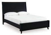 Danziar Black Panel Bedroom Set from Ashley - Lara Furniture