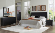 Danziar King Panel Headboard, Dresser, Mirror, Chest and Nightstand in Black - PKG016026