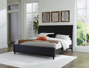 Danziar Queen Panel Bed with Mirrored Dresser in Black - PKG015889