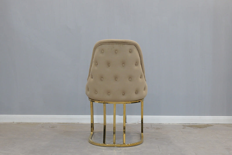 DC2020 Champagne color dining chair - 210000007929