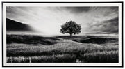 Deborland Wall Art - Lara FurnitureWall Art