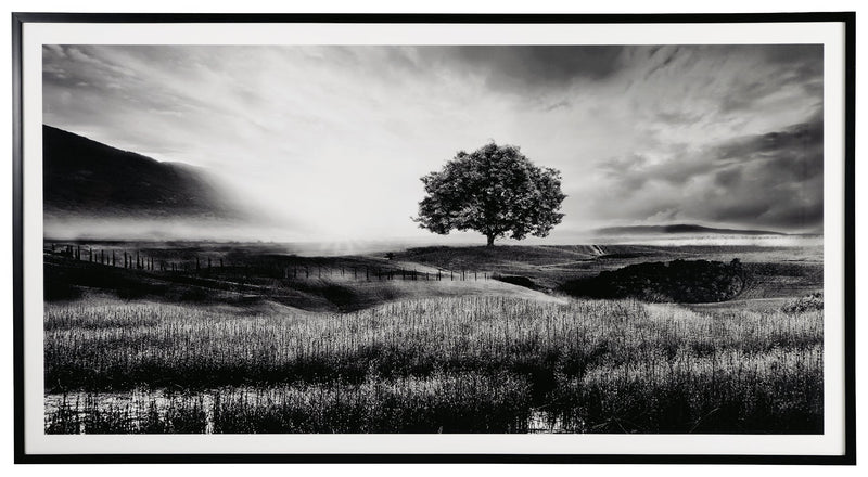 Deborland Wall Art - Lara FurnitureWall Art