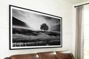 Deborland Wall Art - Lara FurnitureWall Art