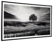 Deborland Wall Art - Lara FurnitureWall Art
