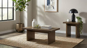 Decker 2-piece Coffee and End Table Set Walnut - 706488-S2