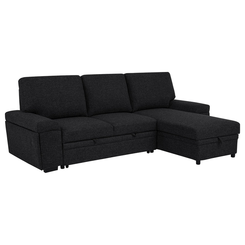 Demko Sleeper Sectional Sofa with Speaker and Storage Chaise Black - 500357