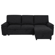 Demko Sleeper Sectional Sofa with Speaker and Storage Chaise Black - 500357