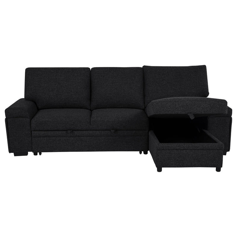Demko Sleeper Sectional Sofa with Speaker and Storage Chaise Black - 500357