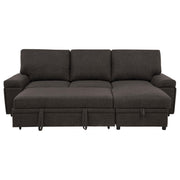 Demko Sleeper Sectional Sofa with Speaker and Storage Chaise Brown - 500356