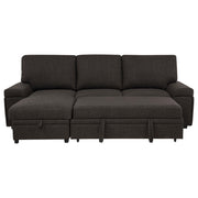 Demko Sleeper Sectional Sofa with Speaker and Storage Chaise Brown - 500356