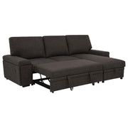 Demko Sleeper Sectional Sofa with Speaker and Storage Chaise Brown - 500356