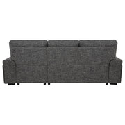 Demko Sleeper Sectional Sofa with Speaker and Storage Chaise Granite - 500355