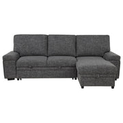 Demko Sleeper Sectional Sofa with Speaker and Storage Chaise Granite - 500355