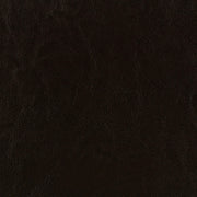 Dorian Faux Leather Upholstered Queen Panel Bed Brown - 300762Q